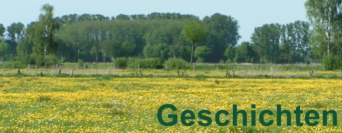 Erinnerungen
