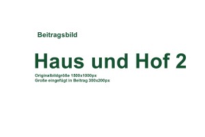 Haus und Hog 2