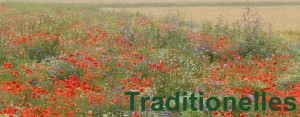 Traditionelles